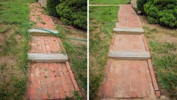 Un diserbante efficace e semplice da preparare: questa miscela elimina tutte le erbacce