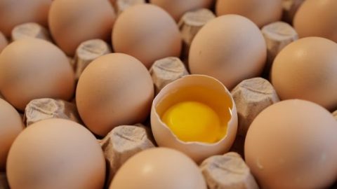 Questo metodo consente di conservare le uova per un anno.